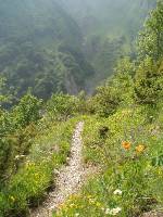 Youri - Ecrins 2005 405